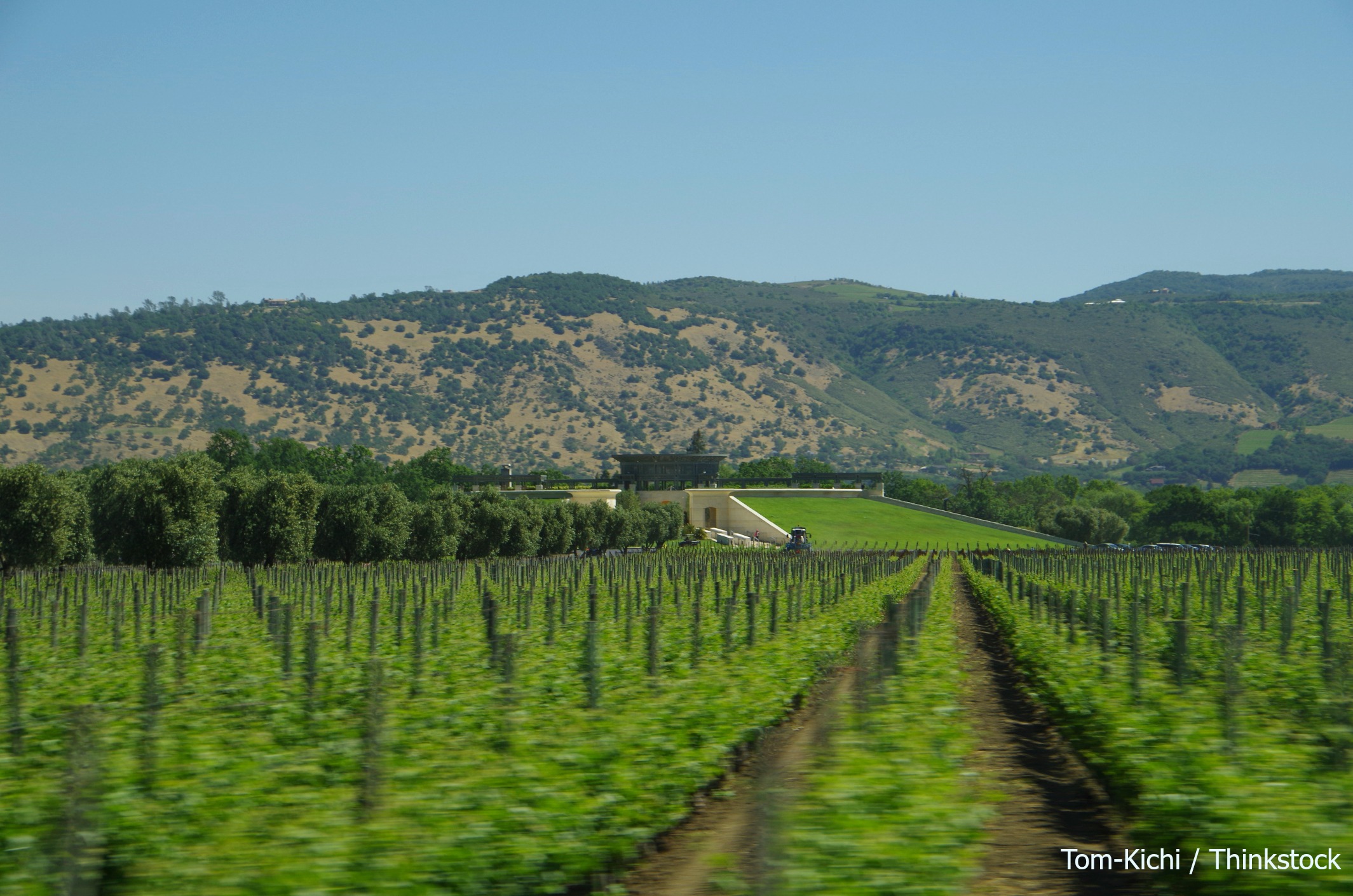 Incredible San Francisco to Napa Valley Tours Churchill Manor