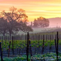 Where is Napa Valley Wine Country?
