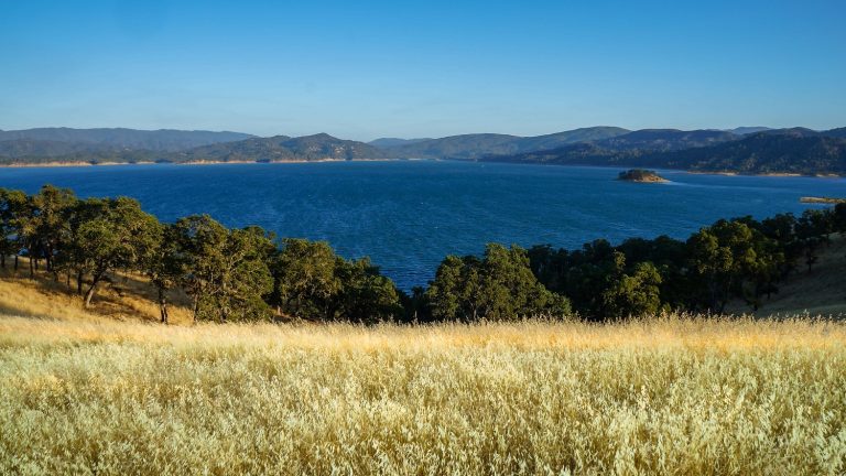 The Ultimate Guide to the Best Lake Berryessa Fishing - Churchill Manor