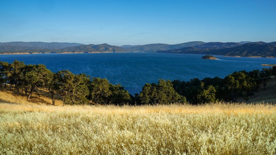 The Ultimate Guide to the Best Lake Berryessa Fishing Churchill Manor