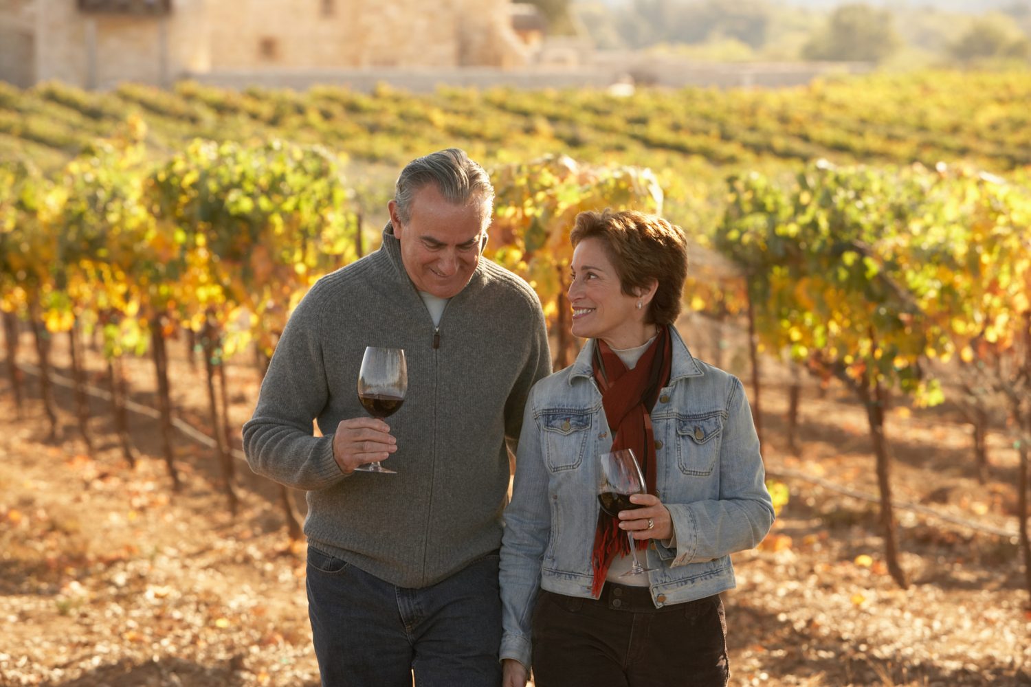 Use Our Vacation Guide to Help Plan your Trip to Napa Valley