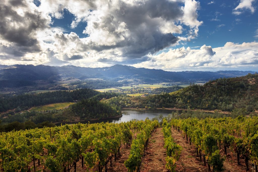 The scenic Howell Mountain is one of 16 Napa Valley Appellations
